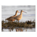 Recherche de marbre art Brun