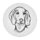 Recherche de teckels planches à découper Chiot