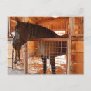 Recherche de cheval percheron cartes postales Cheval de trait