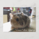Recherche de hamster nain cartes postales Hiver