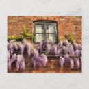 Recherche de brique cartes postales Floral