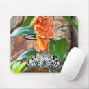 Recherche de nymphes tapis souris Papillon