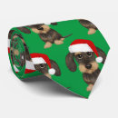 Recherche de teckel mignon cravates Dachshund