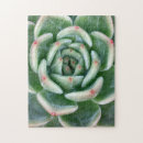 Recherche de succulent puzzles Feuille