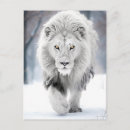 Recherche de lion majestueux cartes postales Décoration d'inspiration nature