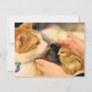 Recherche de cubes vœux cartes Mignon