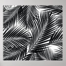 Recherche de palmier noir et blanc posters Feuille