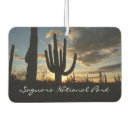 Recherche de cactus voiture accessoires Pour tous