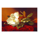Recherche de heade martin johnson posters Floral