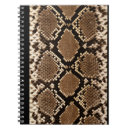 Recherche de serpent à sonnettes posters Peau de serpent