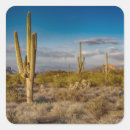 Recherche de cactus saguaro autocollants L'amérique du nord