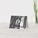 Recherche de sibérien vœux cartes Noir et blanc