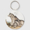 Recherche de canis porteclés Faune