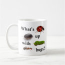 Recherche de insectes d tasses Pour tous