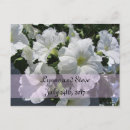 Recherche de pétunia invitations Floral