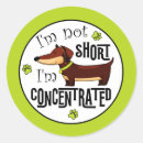 Recherche de chiot teckel autocollants Animal