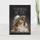 Recherche de sheltie vœux cartes Berger des shetland