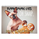 Recherche de funny calendriers Chaton