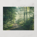 Recherche de chemin forestier cartes postales Bois