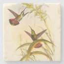 Recherche de fleurs dessous de verres Oiseau