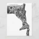 Recherche de veaux cartes postales Mignon