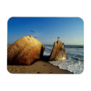 Recherche de naufrage magnets Plage