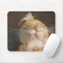 Recherche de gros chat tapis souris Animal