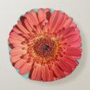 Recherche de gerber rose maison deco Marguerite gerbérique