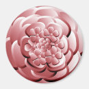 Recherche de chrome magnets Rose