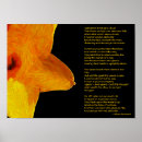 Recherche de wordsworth posters Nature