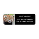 Recherche de panda photographie Sauvage