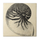 Recherche de peinture marine carreaux Conque