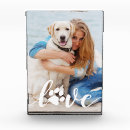 Recherche de mémorial de chien Amour
