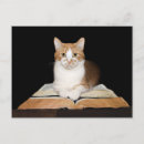 Recherche de lecture de chat cartes postales Enseignant