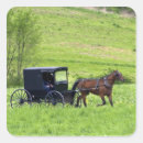 Recherche de amish autocollants Buggy
