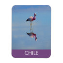 Recherche de amérique sud magnets Chicane