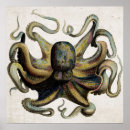 Recherche de octopus posters Vintage