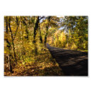 Recherche de sutton posters Automne