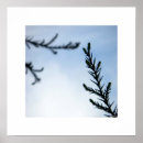 Recherche de spirituality Nature