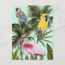 Recherche de paradis cartes postales Jungle