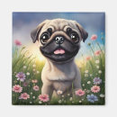 Recherche de chiot de carlin magnets Fleurs