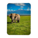 Recherche de tanzanie magnets Paysage