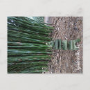 Recherche de bouddha nature posters Paix