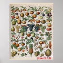 Recherche de alimentaire art Fruits