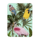 Recherche de paradis magnets Jungle