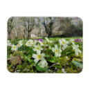 Recherche de printemps magnets Violet