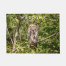 Recherche de hibou barré Nature