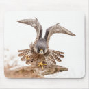 Recherche de pèlerin tapis souris Nature