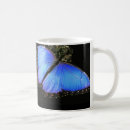 Recherche de papillon bleu morpho tasses Faune