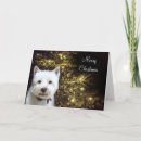 Recherche de westies mignons vœux cartes Terrier des montagnes occidental